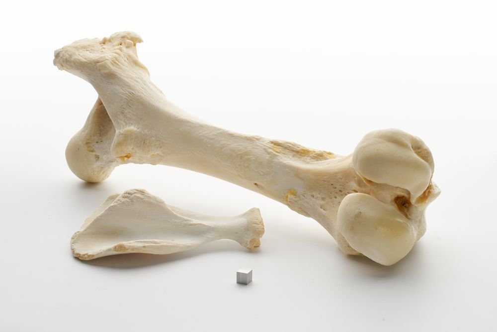 2022 01 30 205545 Knochen Mie3